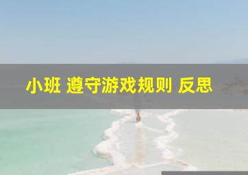 小班 遵守游戏规则 反思